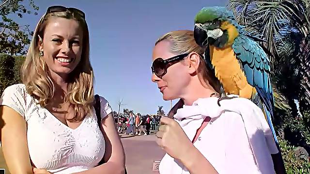 Fun with Sandy and Blue Angel in San Diego