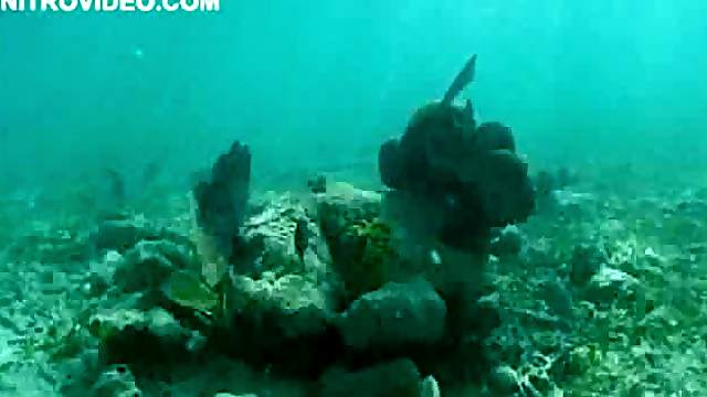 Breathtaking Brunette Supermodel Katie Cleary Scuba Diving In Bikini