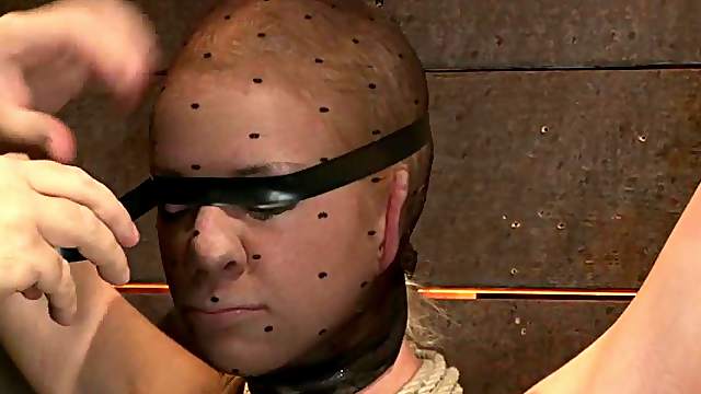 Kaylee Hilton is nailed on the wall and tortured so fucking hard