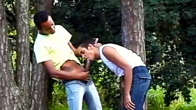 Cute Homosexual Dudes Have Forest Anal Sex In A Retro Clip