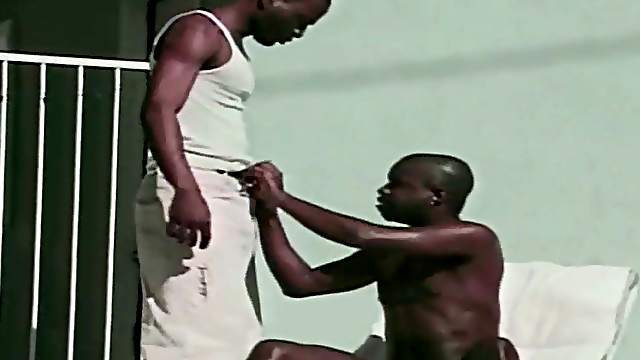 Ghetto Gays Nice Blowjobs