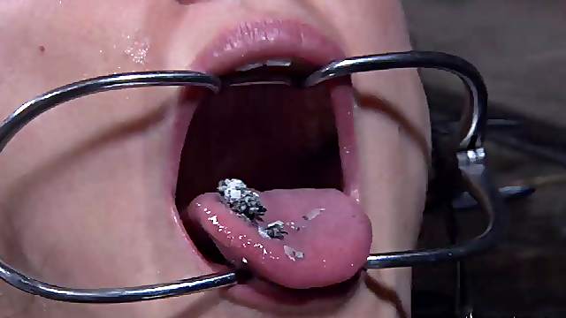 Tattooed Hailey Young pussy clipped lovely in BDSM