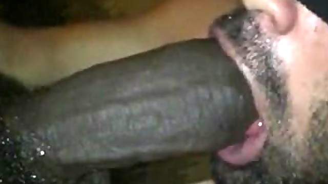 Light skinned dude deepthroats and chokes on his hung mate's fat black cock.