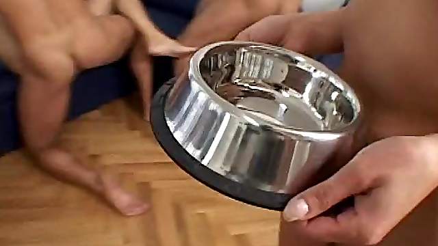 Group of stunning chicks get fucked and creampied