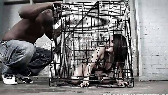 Black penis and a strong cum are the things that Gabriella Paltrova dreams
