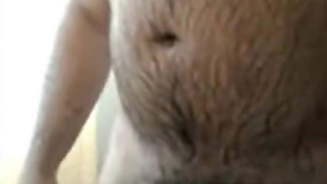 Big Thick Chubby Bear Bathroom Jerk & Cum