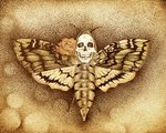 nathanr411's Avatar
