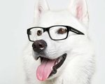 Mfreem055's Avatar