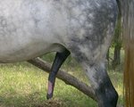 25hardcock's Avatar