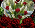 Sweetdolphins5@yahoo.com's Avatar