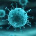 AnteVirus's Avatar