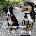 Andreas Ziesmer's Avatar