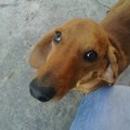 Fabian Luzania's Avatar