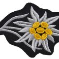 maduras_69's Avatar