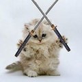 Denis Jeffrey's Avatar