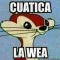 Rubys's Avatar
