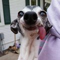 David Bowles's Avatar