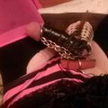 Cici “Sissy” Coxx's Avatar