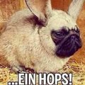 du-er-oder doch-sie's Avatar