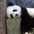 吳思源's Avatar