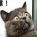 吳思源's Avatar