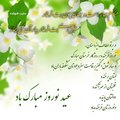 Mohammad Nader Ghobar's Avatar
