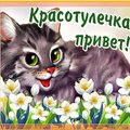 baberka's Avatar