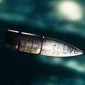Slove Kapanski's Avatar