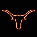 Brandon White's Avatar