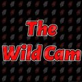 TheWildCam's Avatar