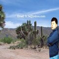 Bach Ta's Avatar