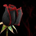 Jack4949's Avatar
