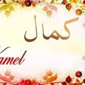 Kamel Barghouthi's Avatar
