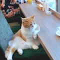 Johnny H's Avatar