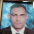 معلومات مجانيه أحمد مصطفى سيد's Avatar