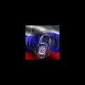 Nikita Orlov's Avatar