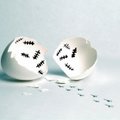 Thicalt2's Avatar