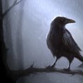 Re1ovent's Avatar