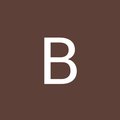 BEDŘICH BAMBUCH's Avatar