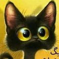 شبيب طرجم's Avatar