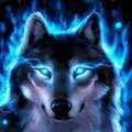 james g norman jr's Avatar