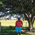 DaniloPereiradeSouz's Avatar