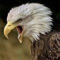 MAGB's Avatar