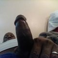 Dirtydawg313's Avatar