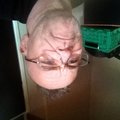 kongen1969's Avatar