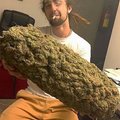 maxsucks's Avatar