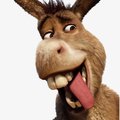 mariomida's Avatar