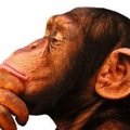 DavidQuirino's Avatar