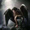 Nini De Gani's Avatar