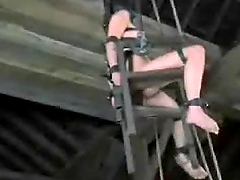 Slave Calico gets her ass turn red from some spanks